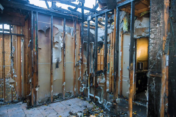 Professional Fire Damage Removal technician working in Morrisville, PA